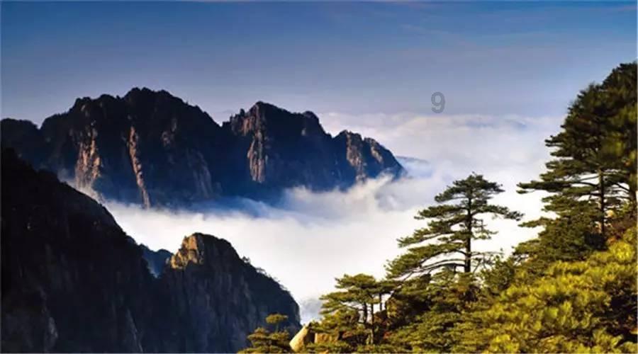 动物帮帮忙保卫家园