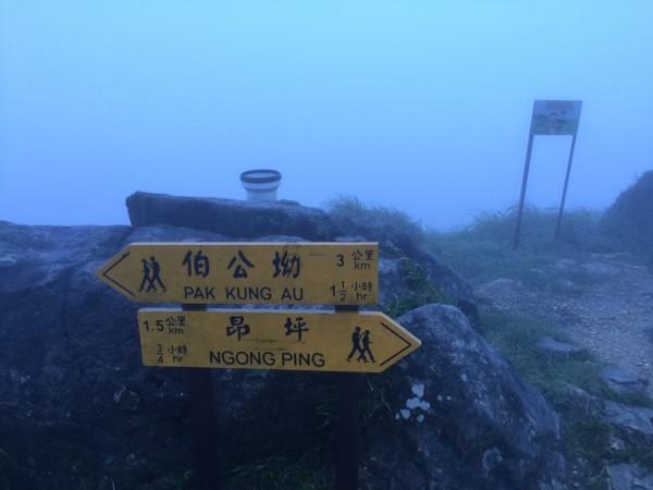 莫用张珊珊张核子之名污蔑革命老前辈