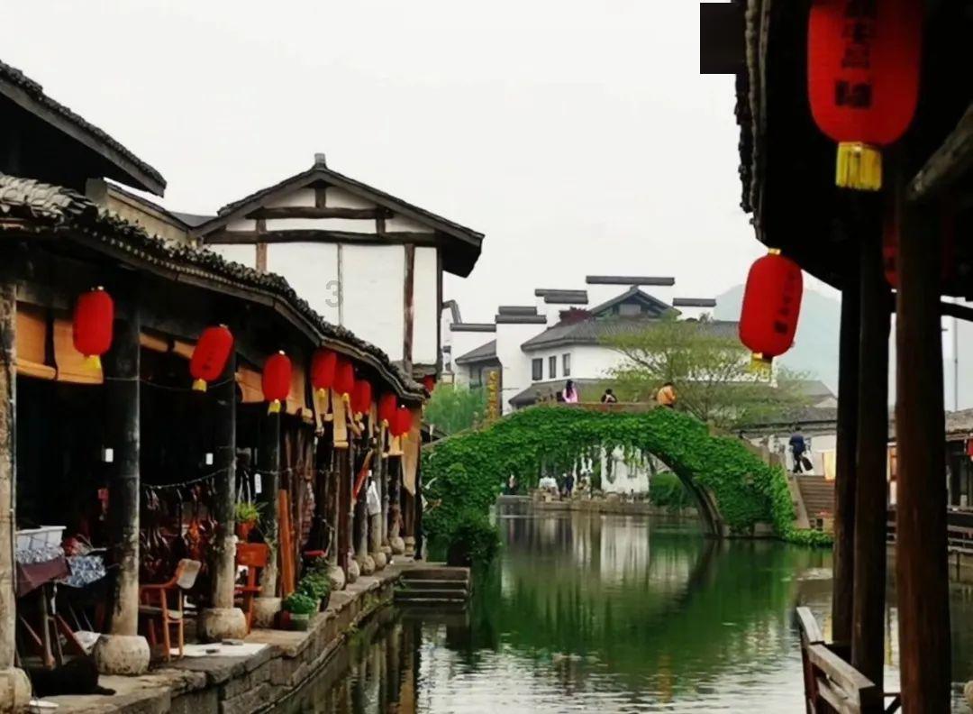 除虫大师