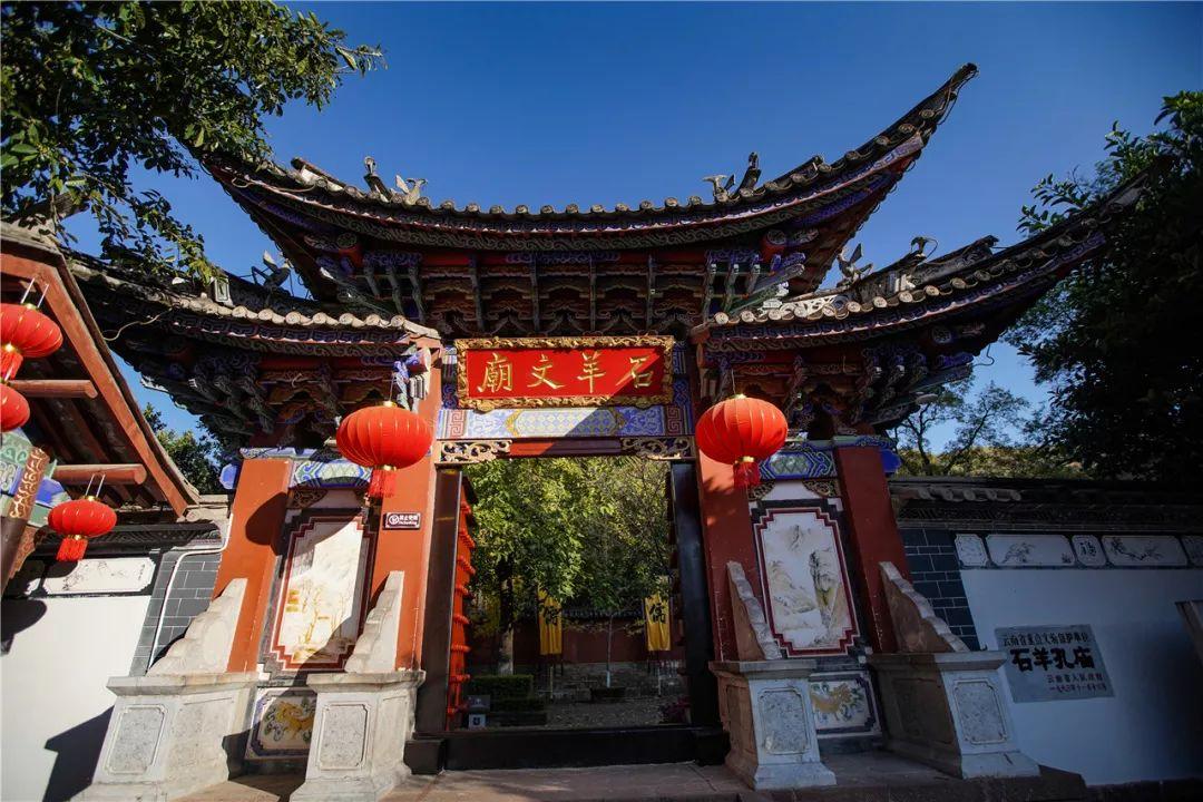 动物帮帮忙保卫家园